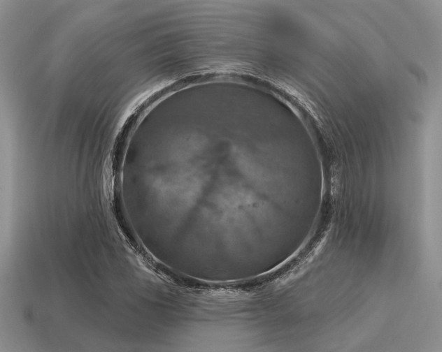 X0000115611117200911101421