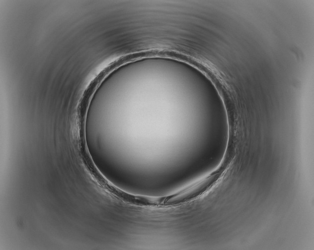 X0000115611118200911101421