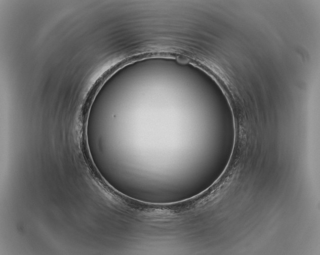 X0000115611119200911101421
