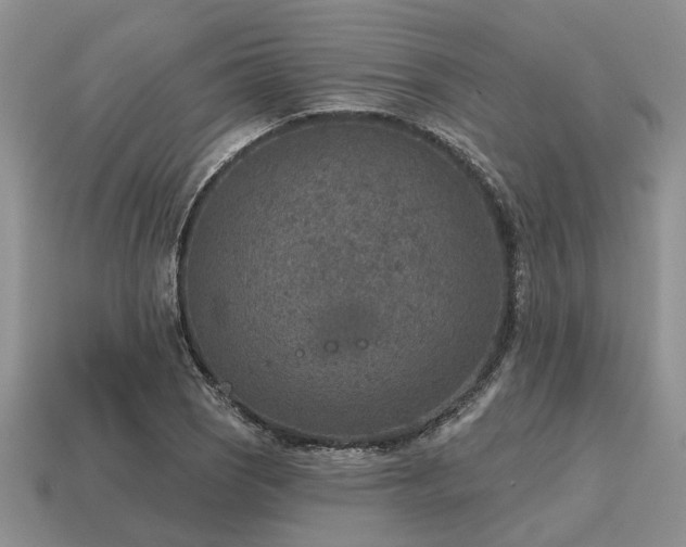 X0000115611121200911101421