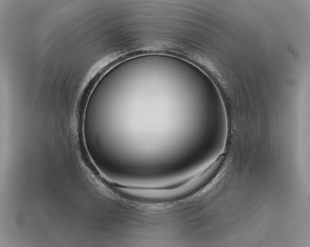 X0000115611122200911101421
