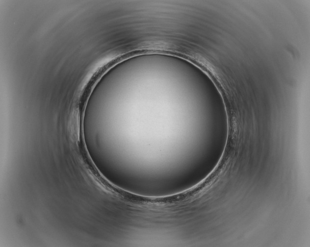 X0000115611123200911101421