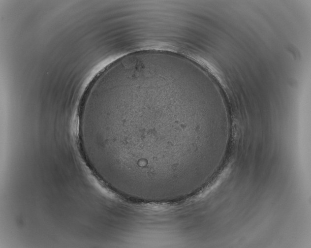X0000115611125200911101421