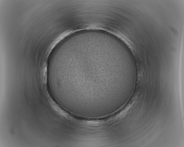 X0000115611126200911101421
