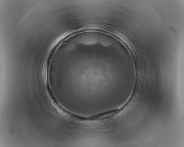 X0000115611127200911101421