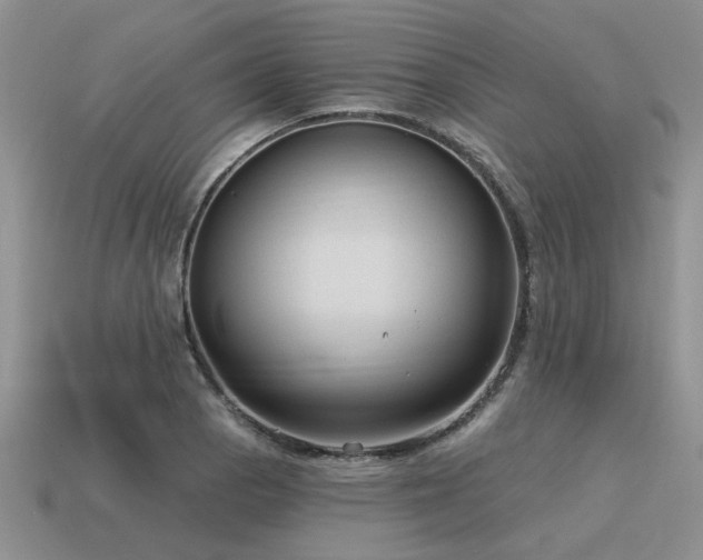 X0000115611129200911101421