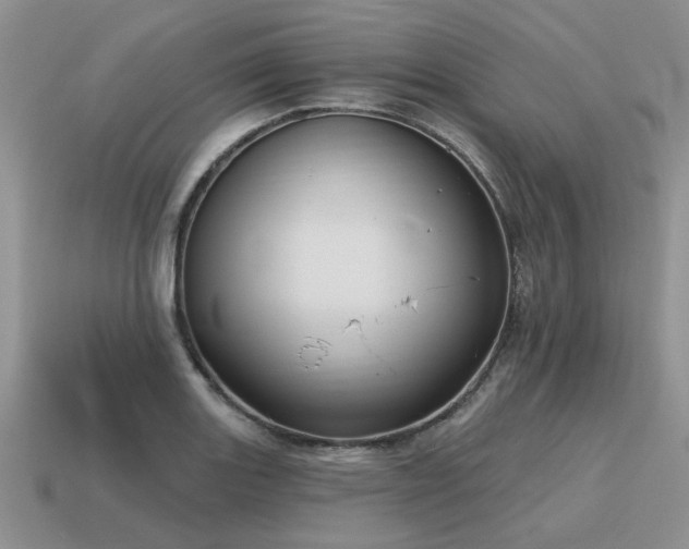 X0000115611131200911101421