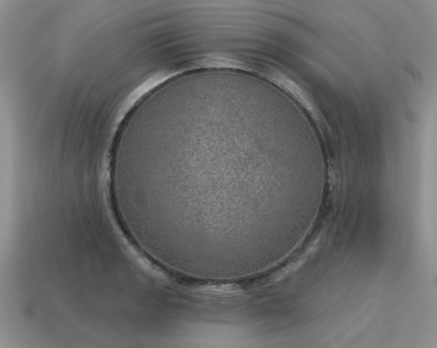 X0000115611133200911101421
