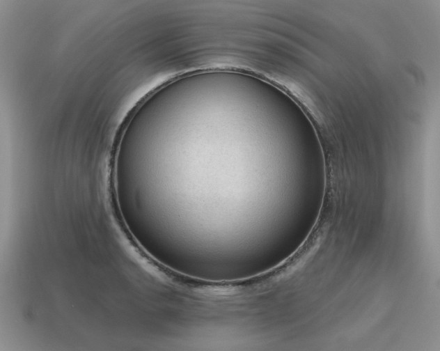 X0000115611134200911101421