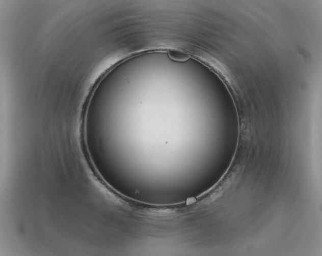 X0000115611135200911101421