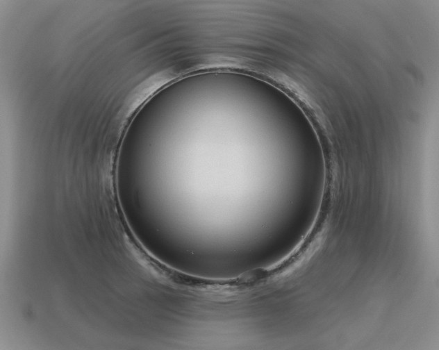 X0000115611137200911101421