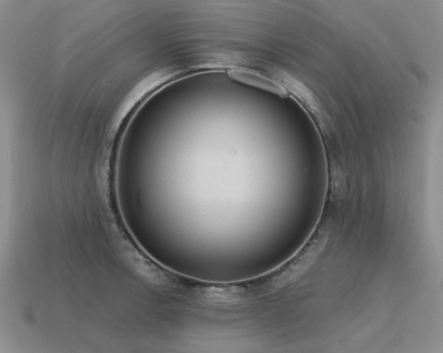 X0000115611138200911101422