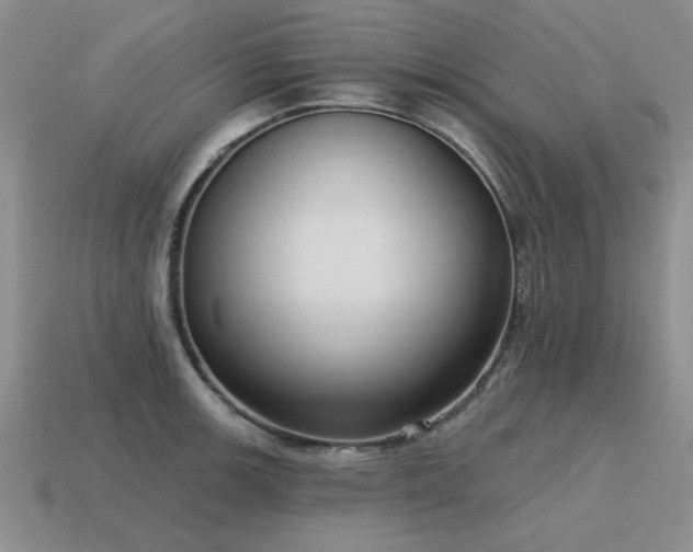 X0000115611139200911101422