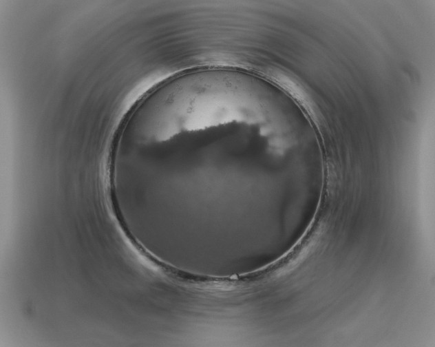 X0000115611141200911101422
