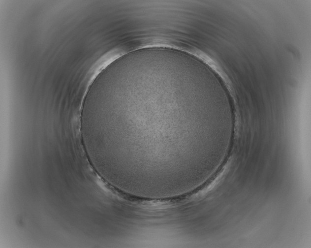 X0000115611145200911101422