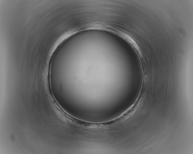 X0000115611146200911101422
