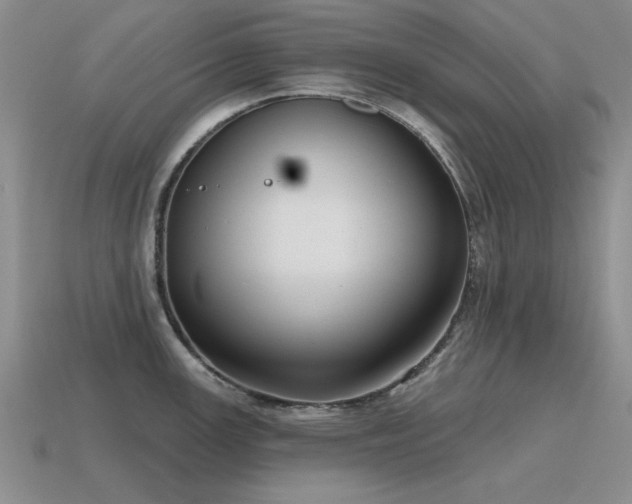 X0000115611147200911101422