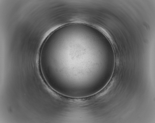 X0000115611149200911101422