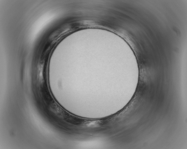 X0000115611150200911101422