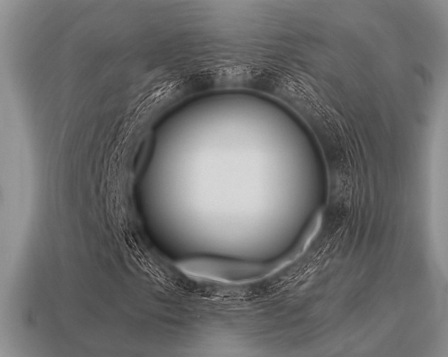 X0000115611153200911101421