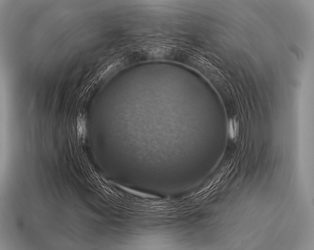 X0000115611155200911101421