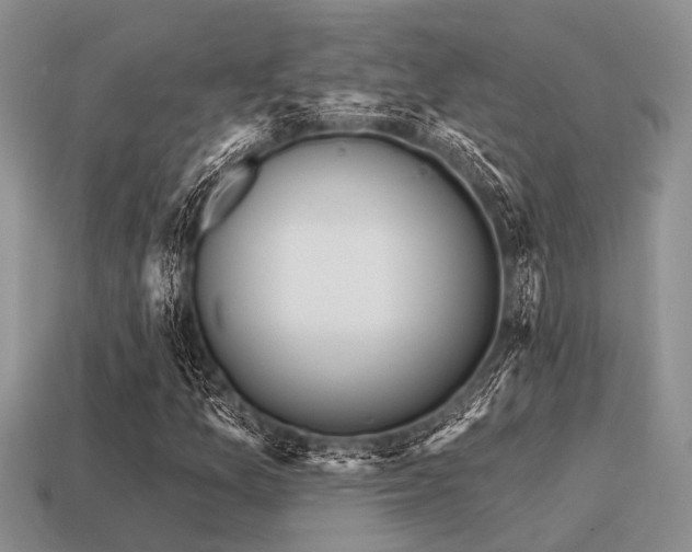 X0000115611157200911101421