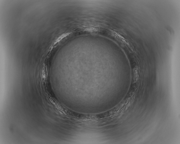 X0000115611158200911101421