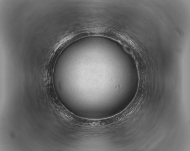 X0000115611160200911101421