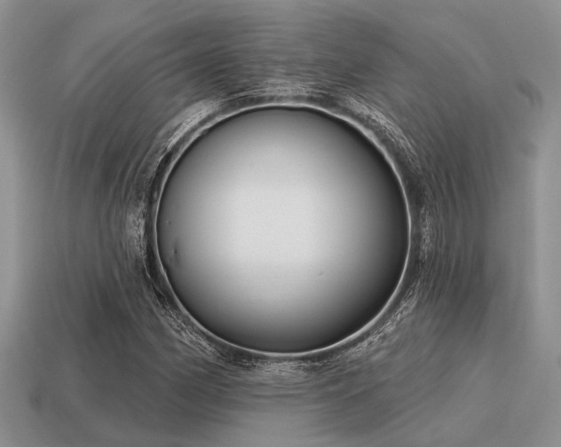 X0000115611162200911101421