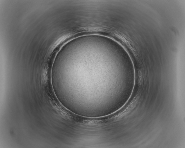 X0000115611163200911101421