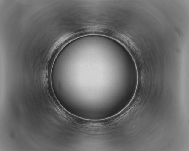 X0000115611164200911101421
