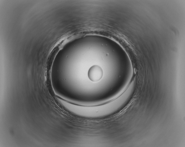 X0000115611165200911101421