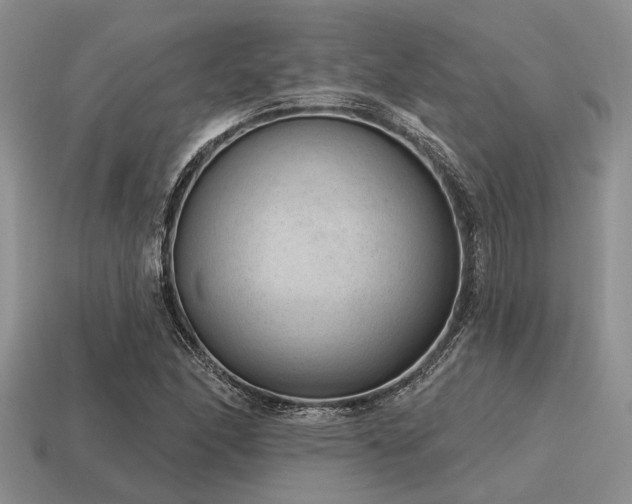 X0000115611166200911101421