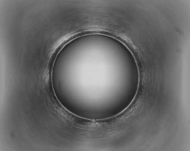 X0000115611167200911101421