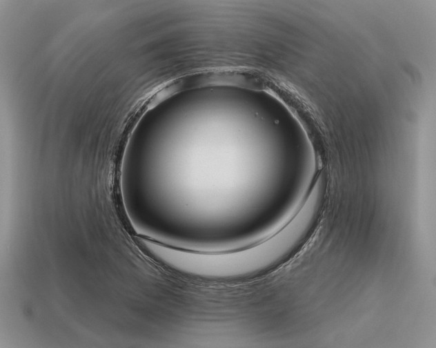 X0000115611169200911101421