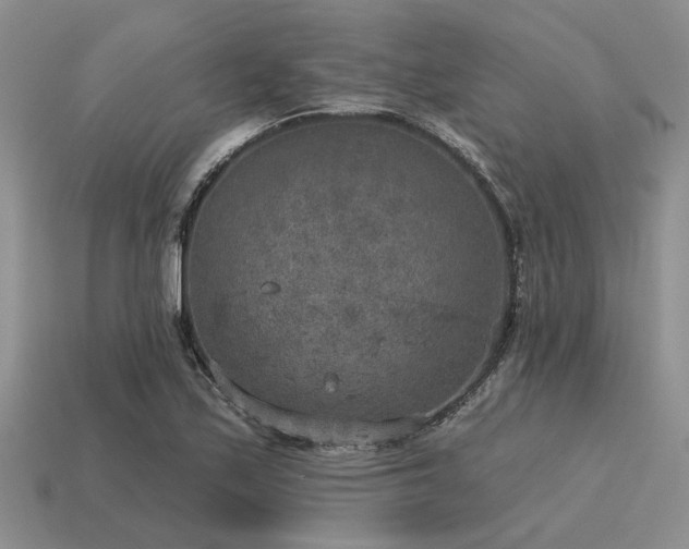X0000115611171200911101421
