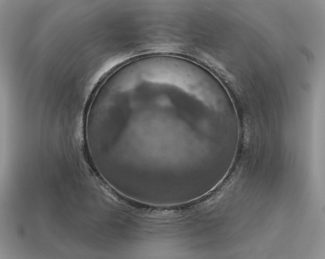 X0000115611174200911101421