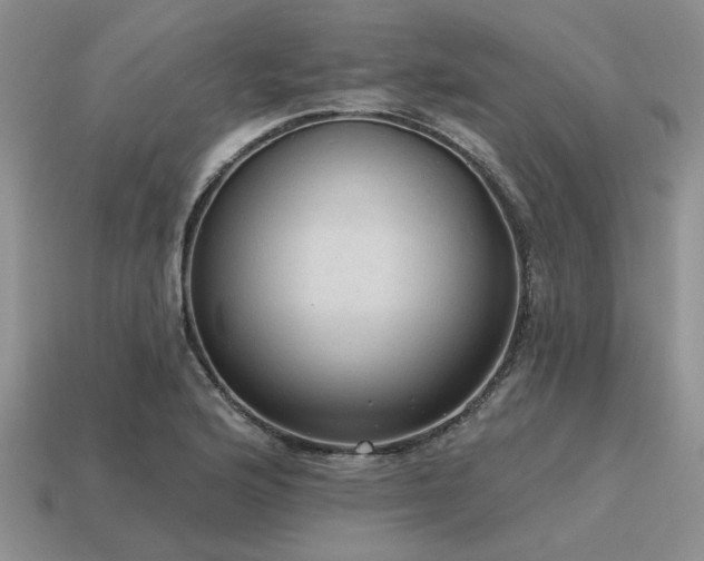 X0000115611176200911101421