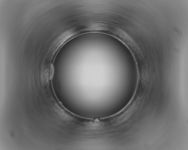 X0000115611177200911101421