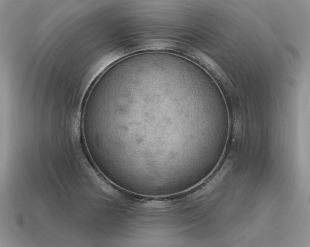 X0000115611178200911101421