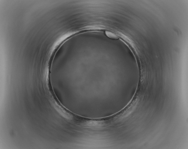 X0000115611179200911101421