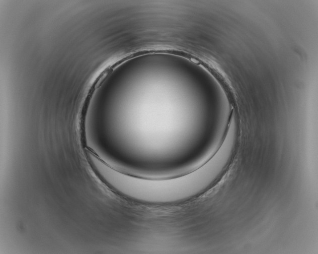X0000115611181200911101421