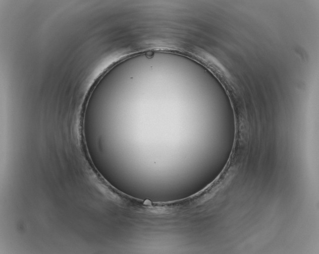 X0000115611182200911101421