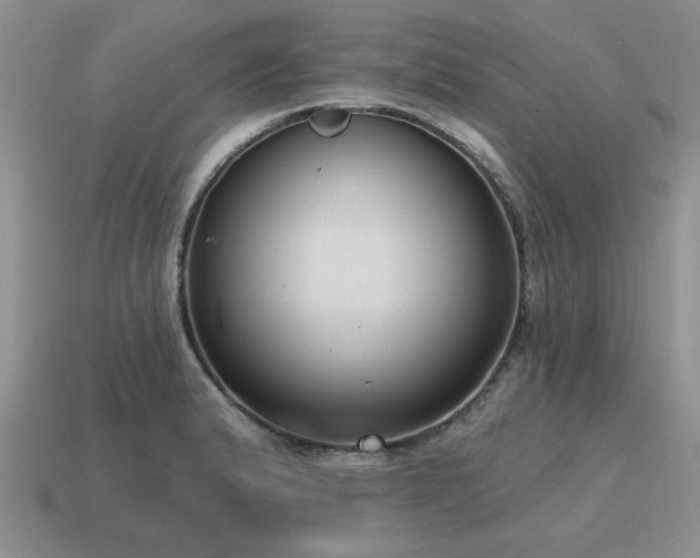 X0000115611183200911101421