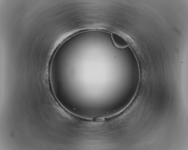 X0000115611184200911101421