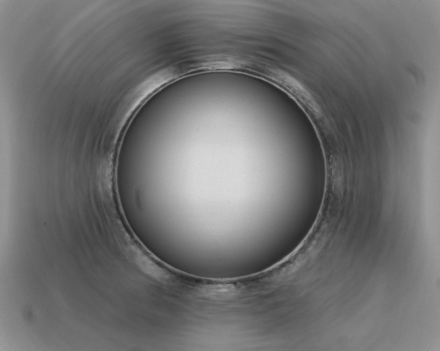 X0000115611186200911101420