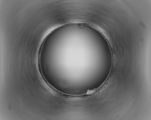 X0000115611187200911101420