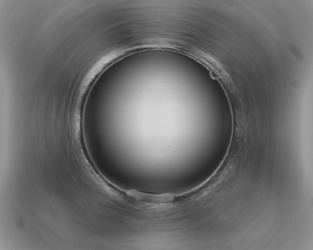 X0000115611188200911101420