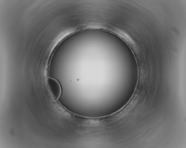 X0000115611190200911101420