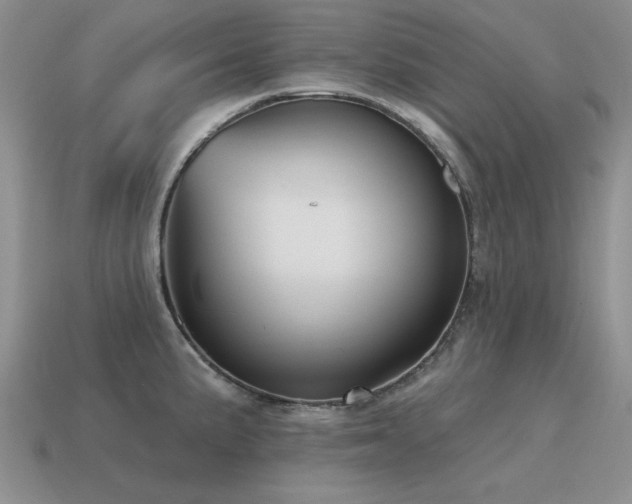 X0000115611191200911101420